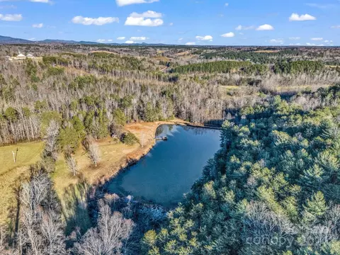 View/Area - 126 Cougar Rd, Casar, NC 28020 photo 1 of 4