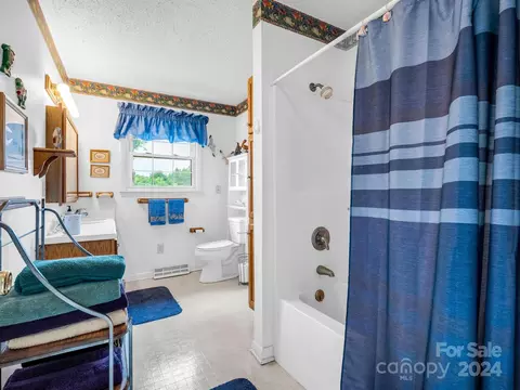 Bath - 126 Cougar Rd, Casar, NC 28020 photo 2 of 3