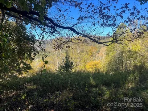 000 Upper Brush Creek Rd, Marshall, NC 28753