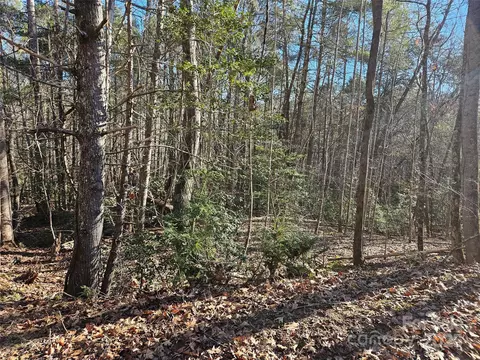 0 Roadrunner 109 Cir #109, Lake Lure, NC 28746
