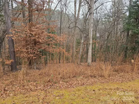 462 Fiddlers Ghost Cir, Mount Gilead, NC 27306 photo 3