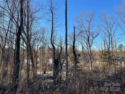 Toms Park Circle, Hendersonville, NC 28739