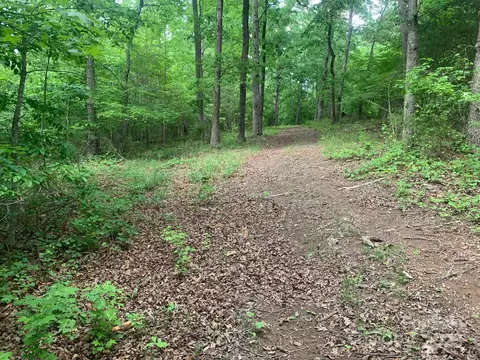 000 Kiser Rd, Bostic, NC 28018 photo 25