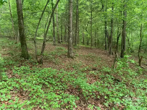 000 Kiser Rd, Bostic, NC 28018 photo 24