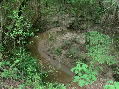 000 Kiser Rd, Bostic, NC 28018 photo 36