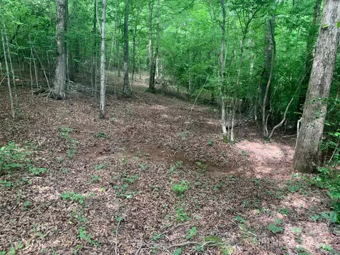 000 Kiser Rd, Bostic, NC 28018 photo 37