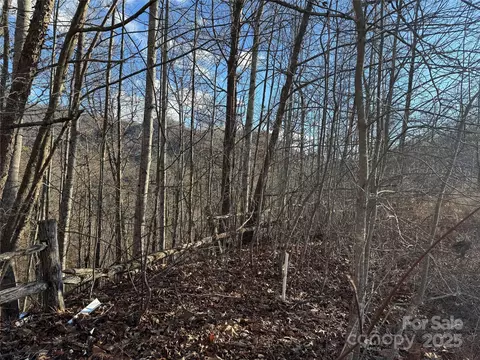 235 Hawk Shadow Trl, Sylva, NC 28779 photo 5