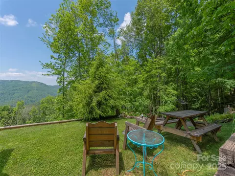 Exterior - 1185 Mule Stomp Rd, Clyde, NC 28721 photo 9 of 17