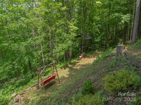 Exterior - 1185 Mule Stomp Rd, Clyde, NC 28721 photo 10 of 17