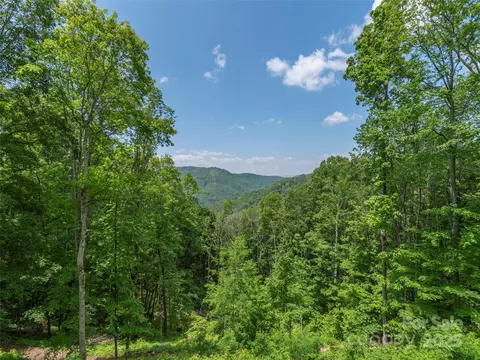 Other - 1185 Mule Stomp Rd, Clyde, NC 28721 photo 9 of 12