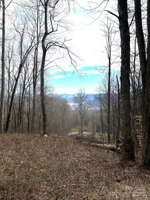 Sage Lane, Waynesville, NC 28785
