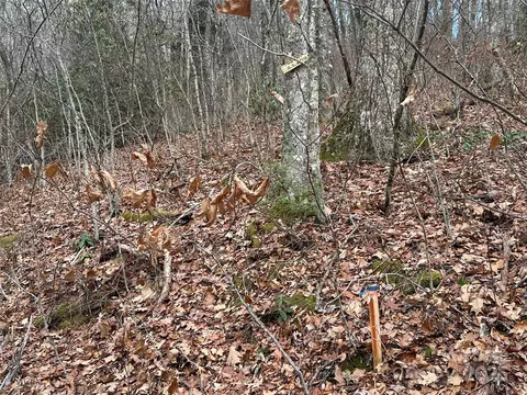 00 Mahogany Ln, Sylva, NC 28779 photo 7