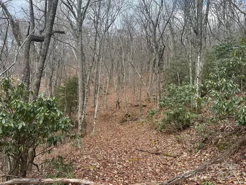 00 Mahogany Ln, Sylva, NC 28779 photo 6