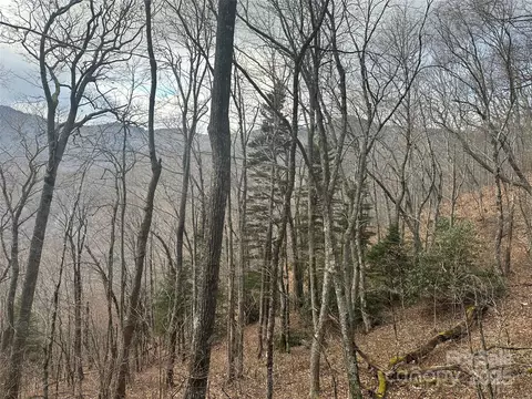 00 Mahogany Ln, Sylva, NC 28779 photo 9