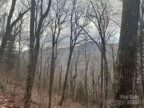 00 Mahogany Ln, Sylva, NC 28779 photo 10
