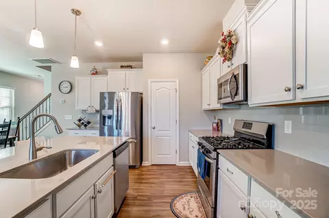 11532 Ruby Rose Ln, Davidson, NC 28036 photo 9