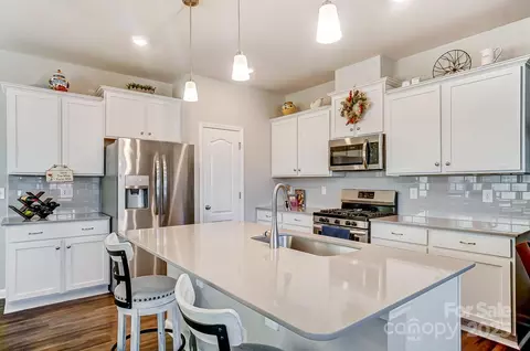11532 Ruby Rose Ln, Davidson, NC 28036 photo 8