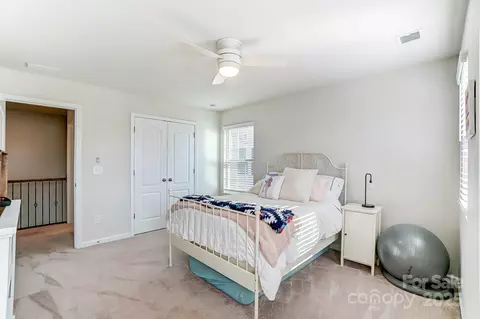 11532 Ruby Rose Ln, Davidson, NC 28036 photo 29