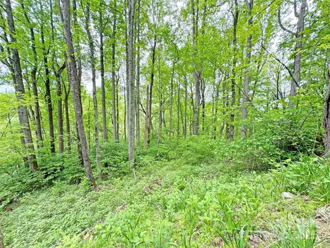 Caldwell Mountain Road, Hot Springs, NC 28743