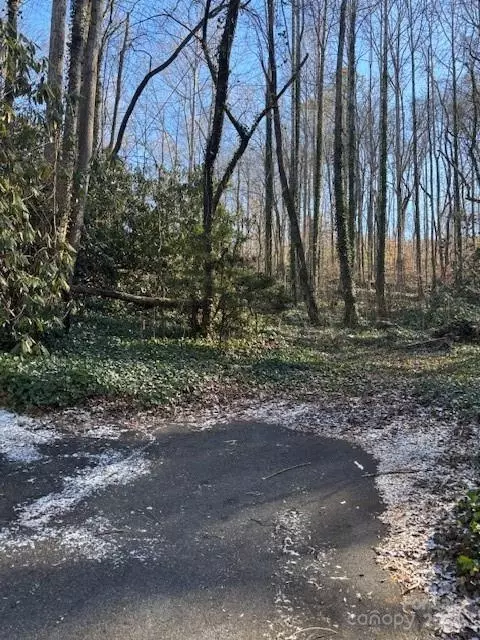 0 Savannah Dr, Sylva, NC 28779