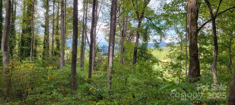 43 Dodder Ln, Cullowhee, NC 28723 photo 4