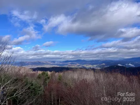 438 St Andrews Rd, Beech Mountain, NC 28604