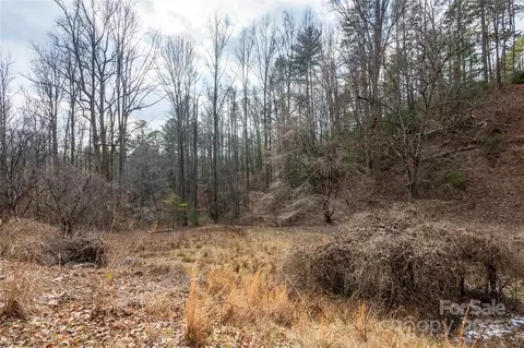 Other - 403 Andante Ln, Brevard, NC 28712 photo 10 of 10