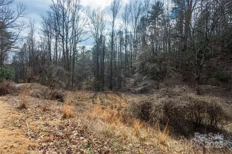 Other - 403 Andante Ln, Brevard, NC 28712 photo 9 of 10