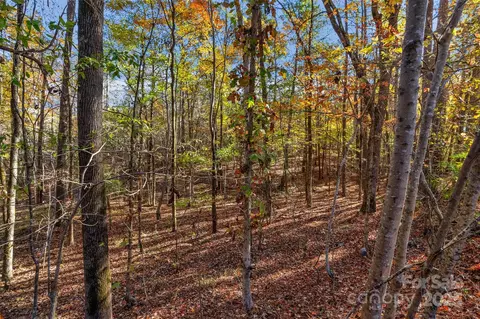 0 River 2 Rd #2, Ridgeway, SC 29130 photo 23