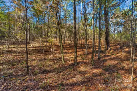 0 River 2 Rd #2, Ridgeway, SC 29130 photo 21