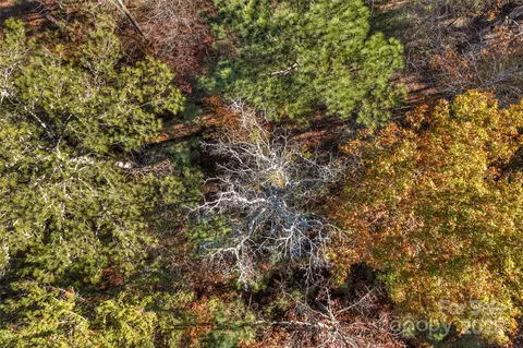0 River 2 Rd #2, Ridgeway, SC 29130 photo 8