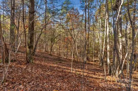 0 River 2 Rd #2, Ridgeway, SC 29130 photo 19