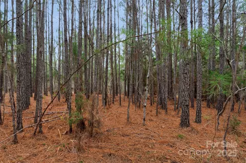 0000 River 4 Rd #4, Ridgeway, SC 29130 photo 20