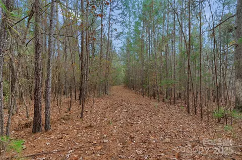 0000 River 4 Rd #4, Ridgeway, SC 29130 photo 18
