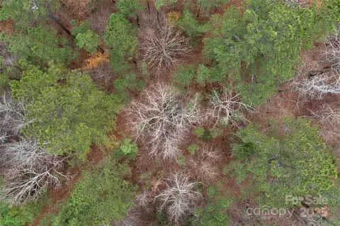 0000 River 4 Rd #4, Ridgeway, SC 29130 photo 11