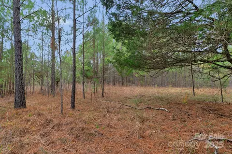 0000 River 4 Rd #4, Ridgeway, SC 29130 photo 19