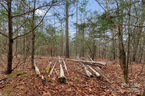 0000 River 4 Rd #4, Ridgeway, SC 29130 photo 21