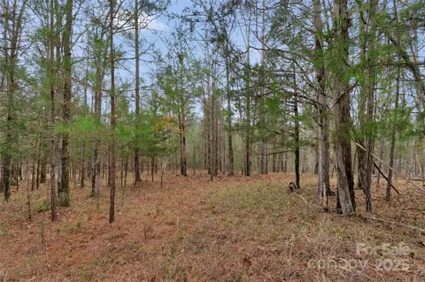 0000 River 4 Rd #4, Ridgeway, SC 29130 photo 23