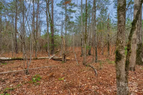 0000 River 4 Rd #4, Ridgeway, SC 29130 photo 16