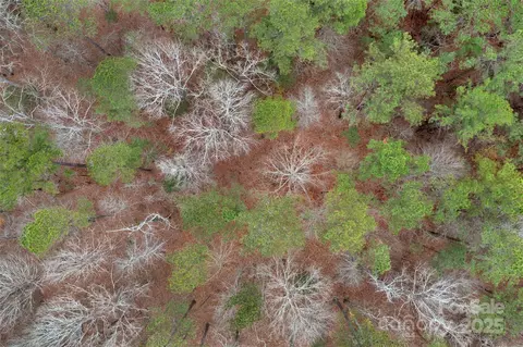 0000 River 4 Rd #4, Ridgeway, SC 29130 photo 12