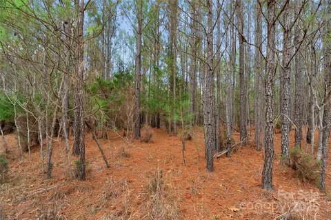 0000 River 4 Rd #4, Ridgeway, SC 29130 photo 22