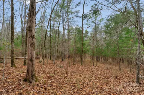 0000 River 4 Rd #4, Ridgeway, SC 29130 photo 24