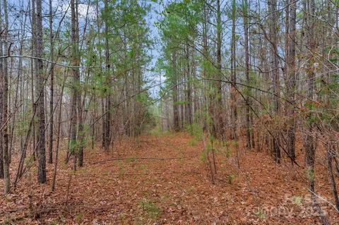 0000 River 4 Rd #4, Ridgeway, SC 29130 photo 13