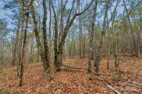 0000 River 4 Rd #4, Ridgeway, SC 29130 photo 17