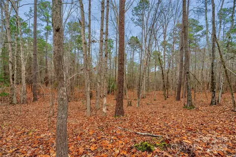 0000 River 4 Rd #4, Ridgeway, SC 29130 photo 15