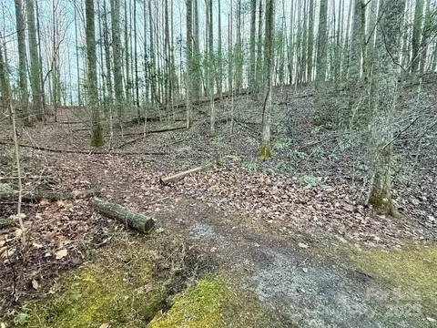 000 Spring Rd, Hendersonville, NC 28792