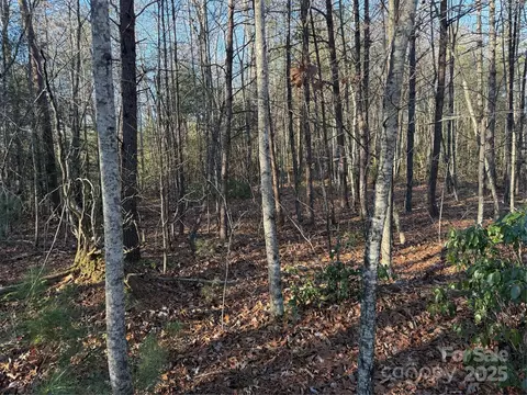 Waters Edge 16-16 Drive #16-16, Nebo, NC 28761