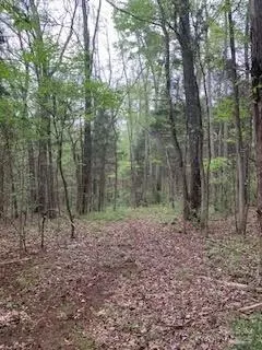 Marshall Road, Rock Hill, SC 29730