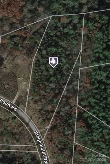 507 Ridge Point Rd, Nebo, NC 28761