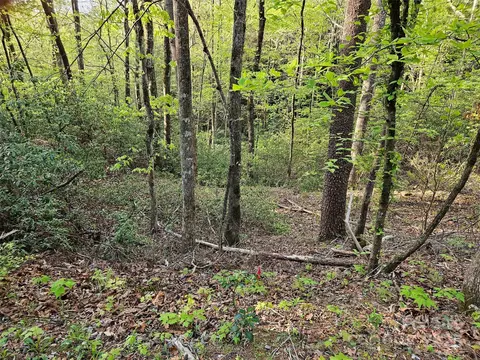0 Huntington 54 Rd #54, Lake Lure, NC 28746